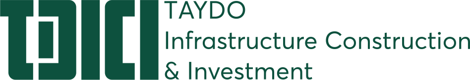 logo-tdici